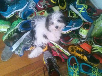 Sebastien on our running shoes