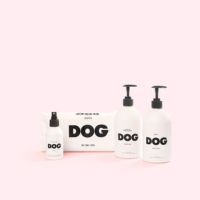 Dr Lisa Dog Grooming starter kit