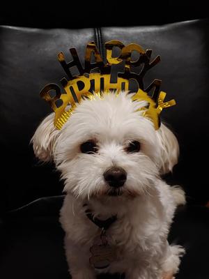 Happy 9th Birthday Spanky