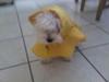 Cute pic in his raincoat.
