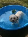 Hot summer Fun with Spanky