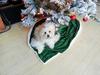 Gabry under the Christmas Tree