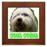 coton de tulear keepsake box