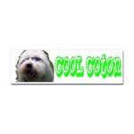 coton de tulear bumper sticker