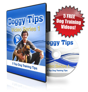 doggy dan online dog trainer