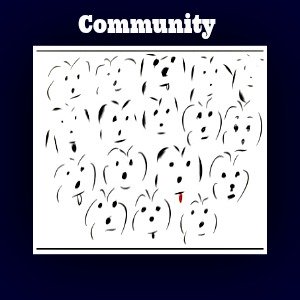 coton de tulear community