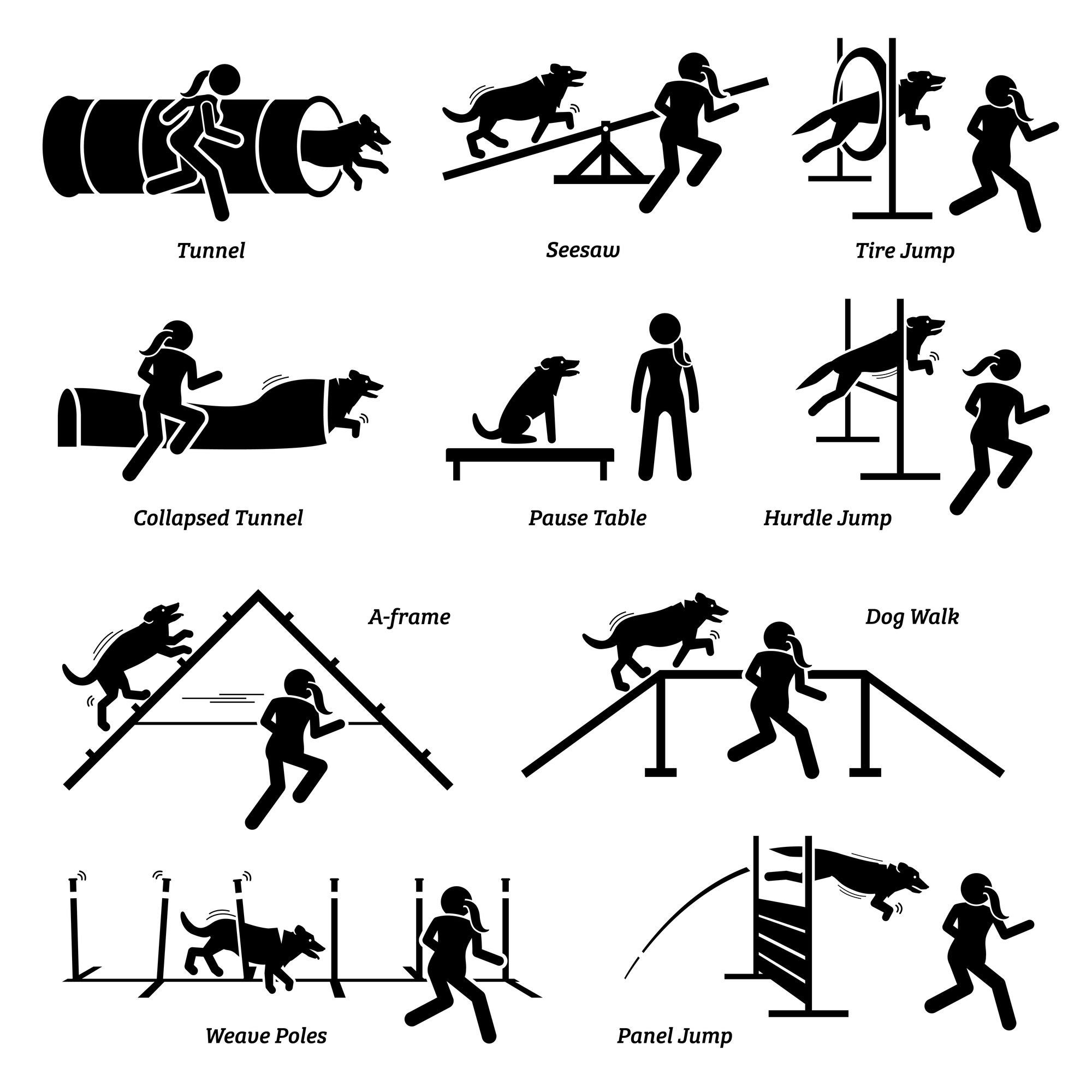 dog agility equipment