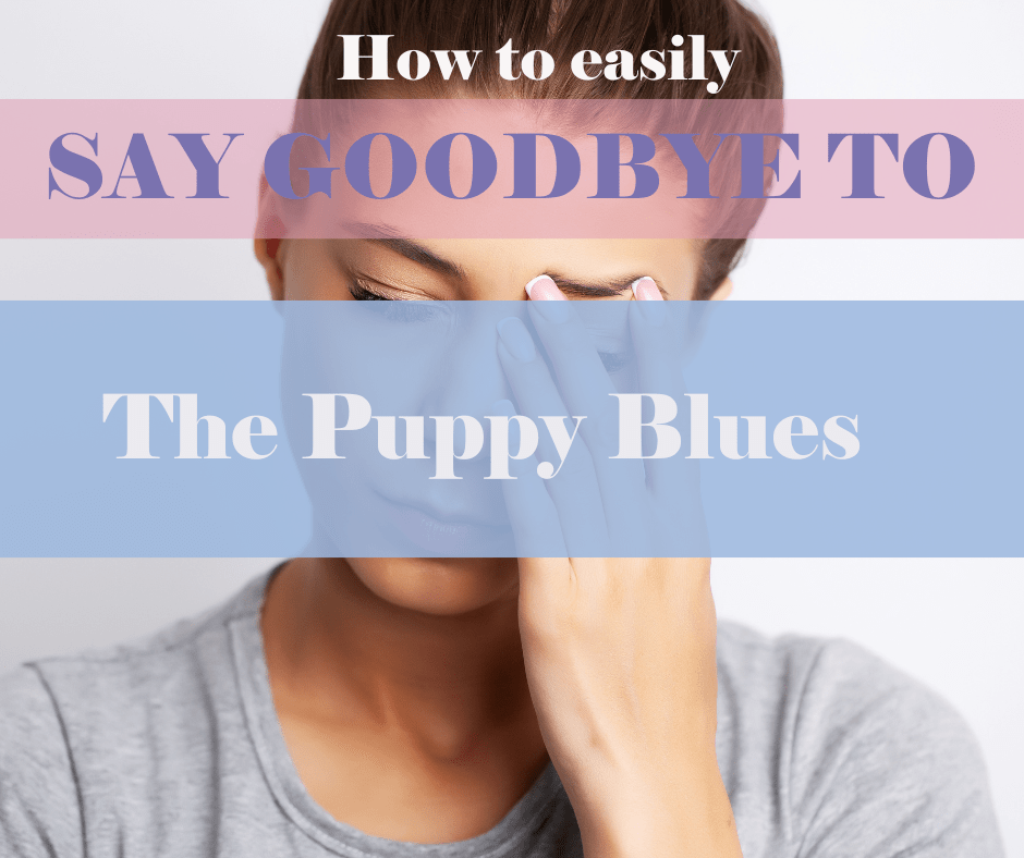 how to say goodbye to the puppy blues