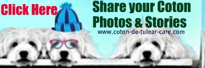 Coton photo