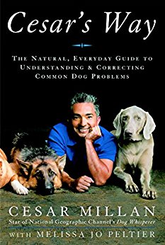 Cesar Millan - dog barking solutions