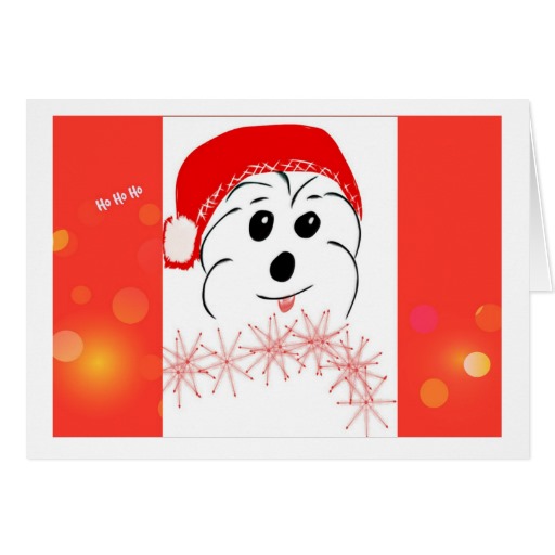 Coton de Tulear Christmas card