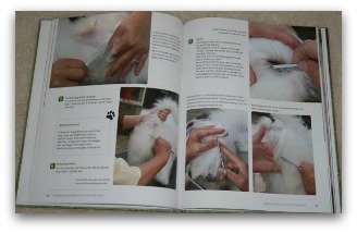 coton de tulear grooming book