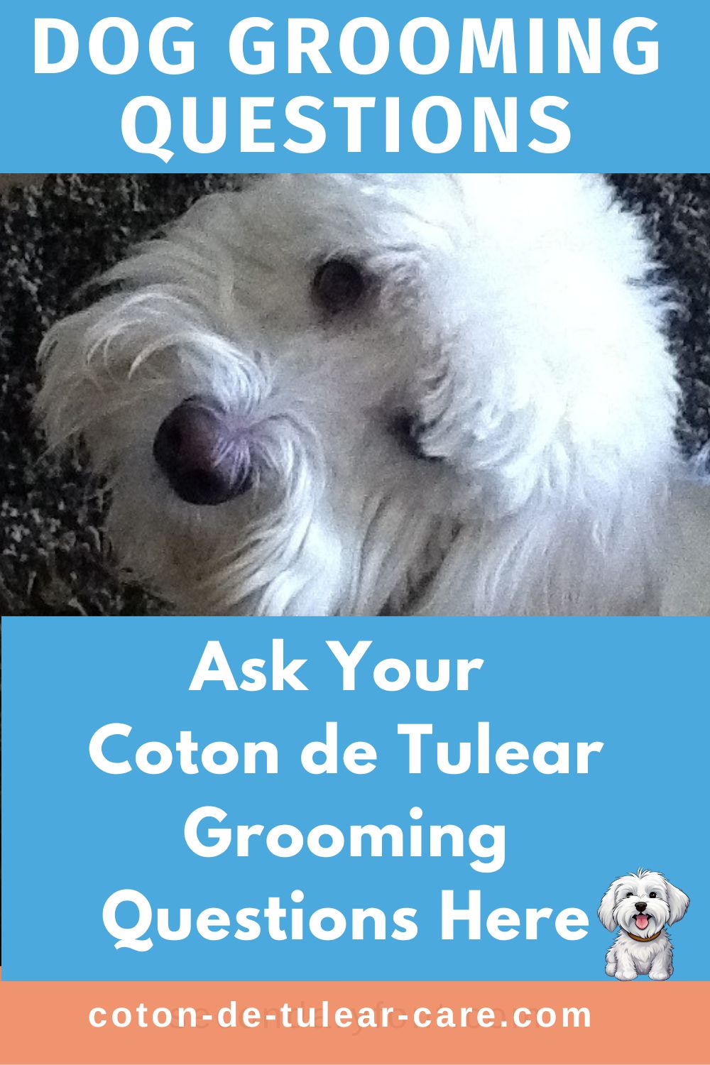 Coton de Tulear Dog Grooming FAQs