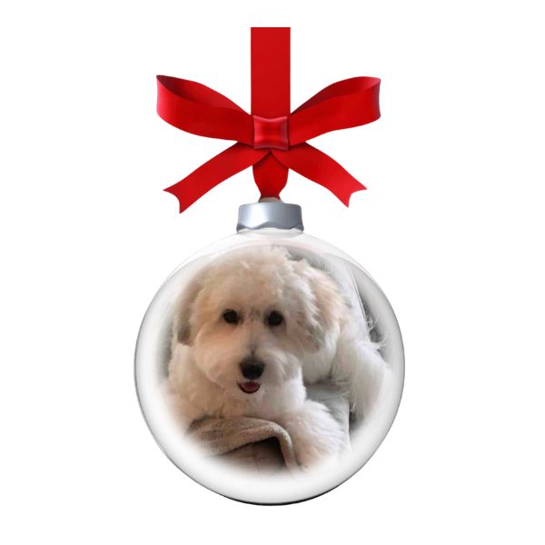 Coton de Tulear Christmas ornament