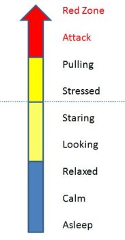 dog stress chart