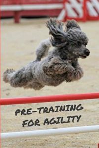 pertaining-agility-book