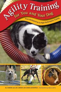 Agility training from backyard to high performance book