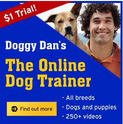 Doggy Dan, Online Dog Trainer - Dog barking solutions