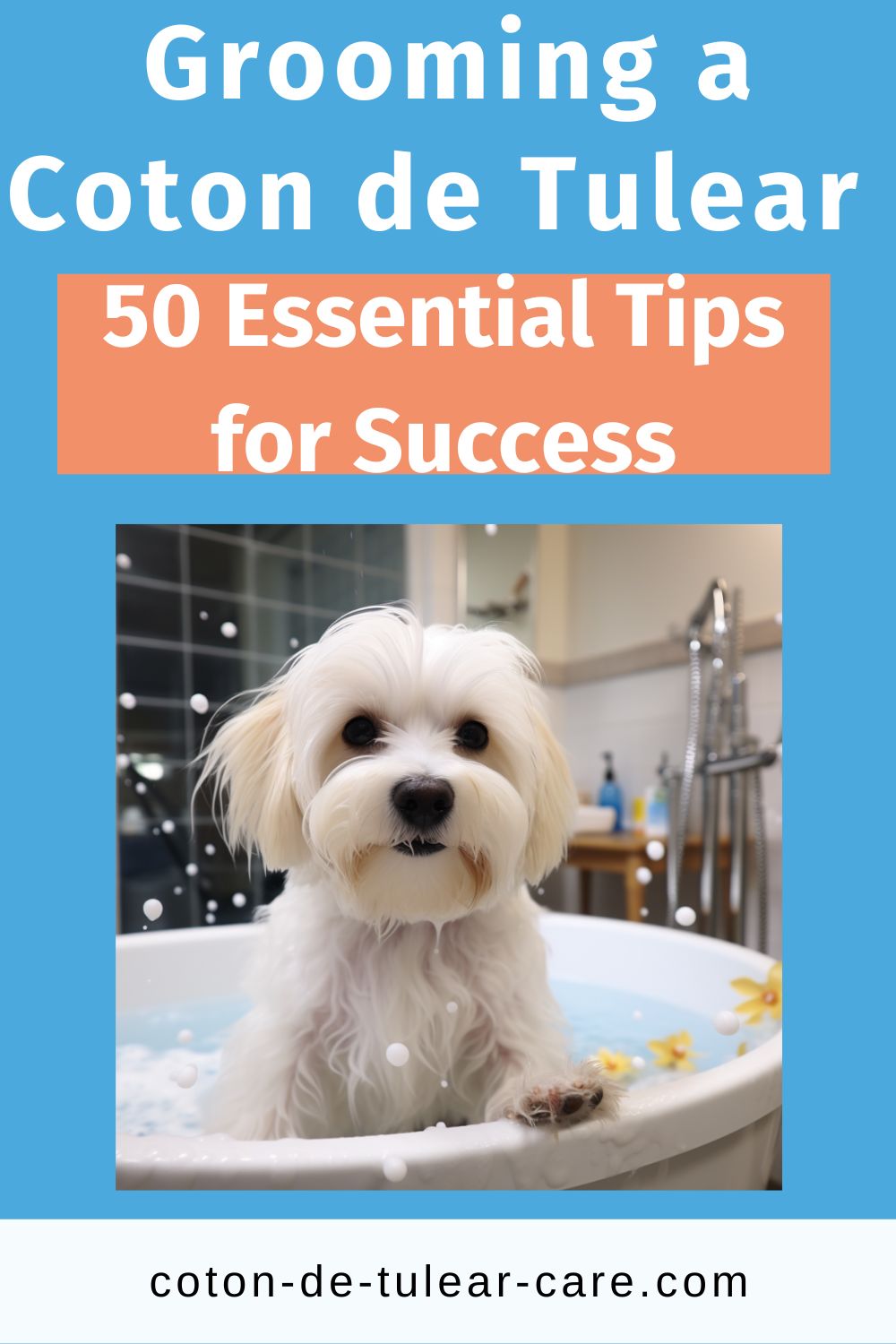 Grooming a Coton de Tulear doesn’t have to be challenging if you’re armed with the right information and tools. These tips will make Coton grooming easier for you and your dog.