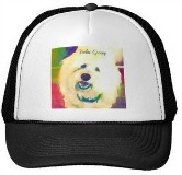 coton de tulear cap