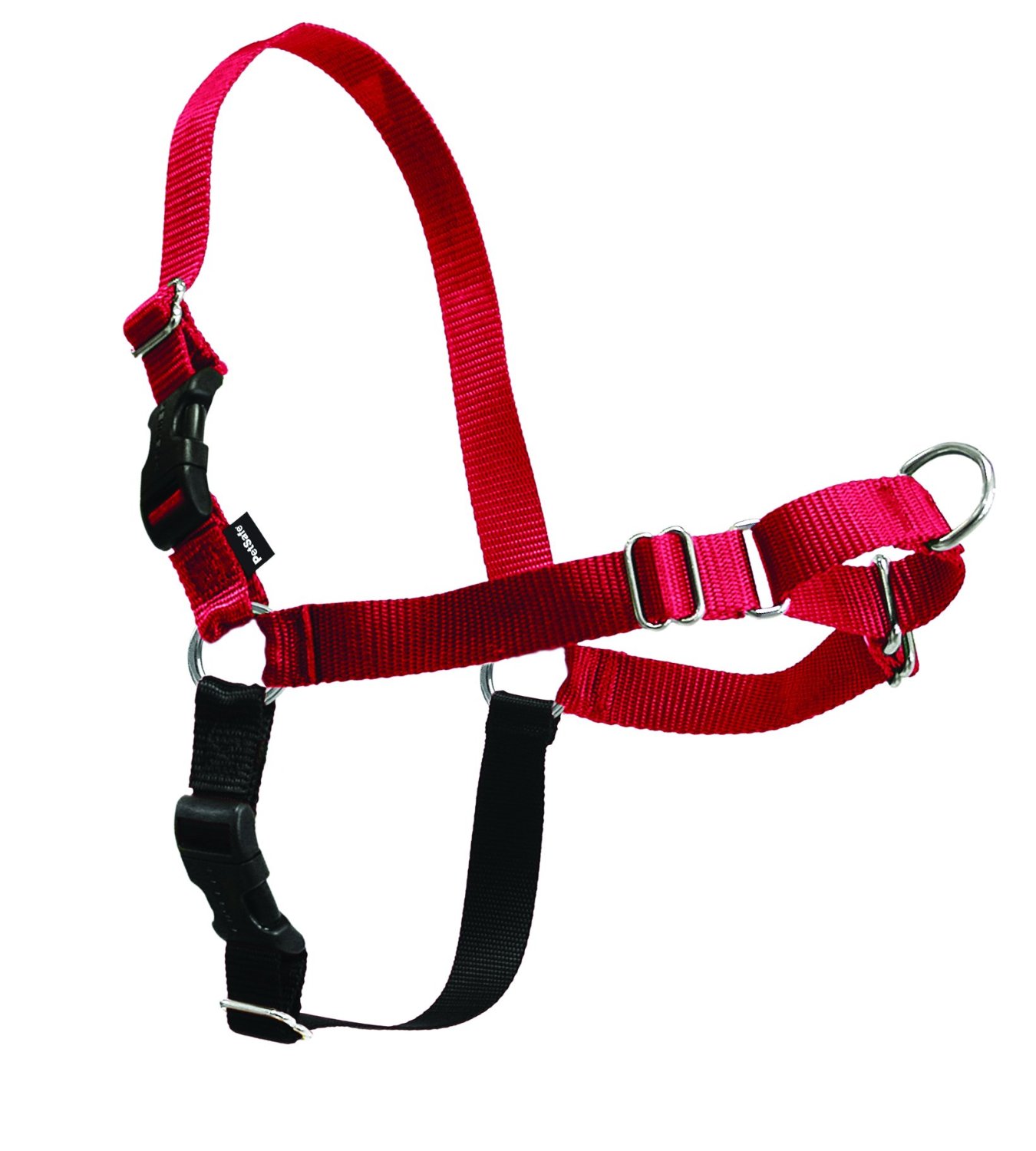 dog harness