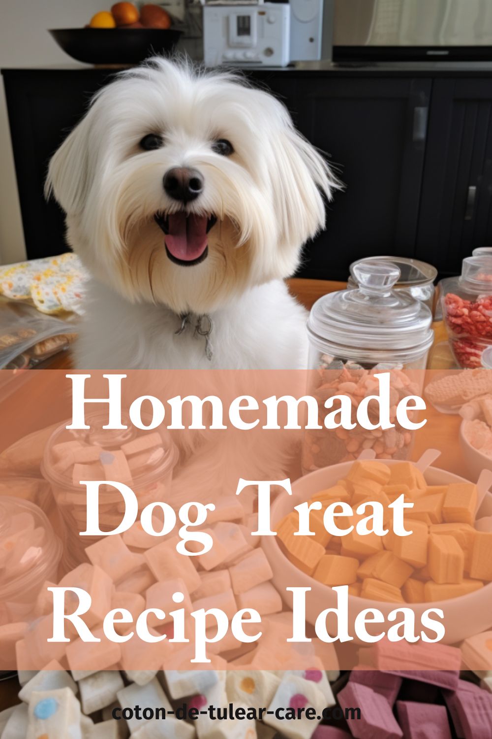 homemade dog food recipe ideas