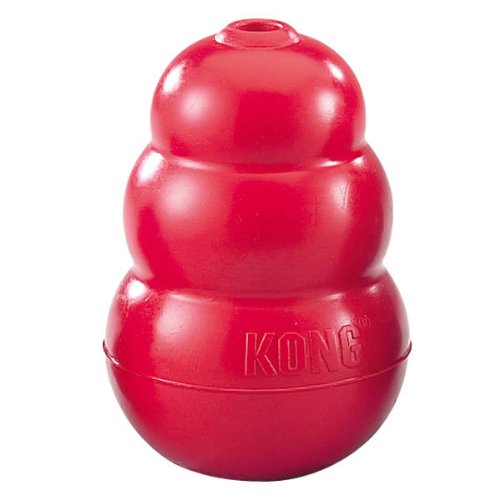 kong chew toy