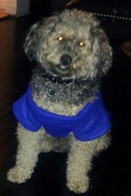 Mnaju wearing his snuggie after playing in the snow