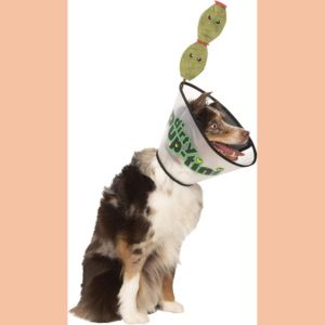 funny dog costume martini