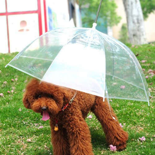 pet umbrella