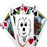 coton de tulear playing cards