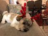 Ready for Santa Class’ visit!