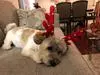 Ready for Santa Class’ visit!