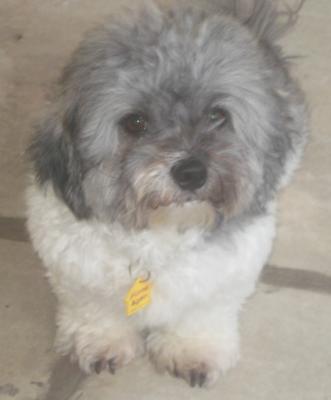 this is my man, Cooperman that is.