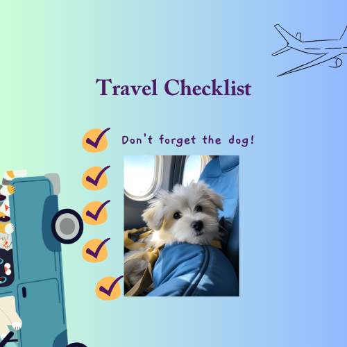 travel_checklist