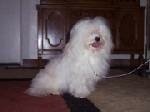 Tuffy's dad 