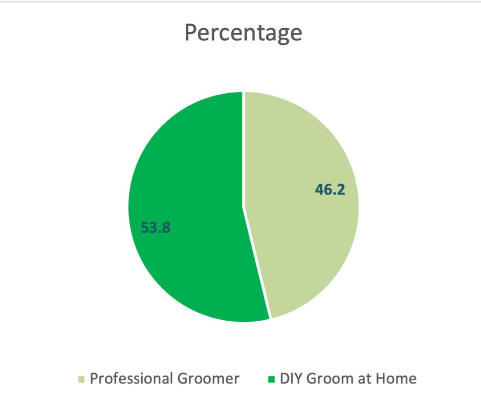 DIY vs professional dog groomer