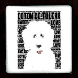 coton de tulear keepsake box