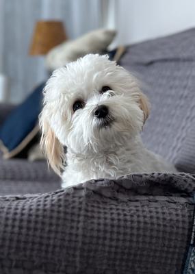 Hi there: you’re not leaving to work again are you? 